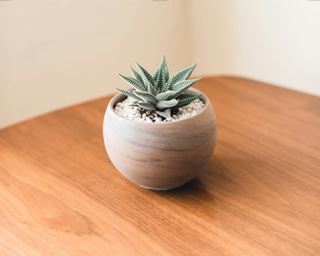Bespoke Furniture