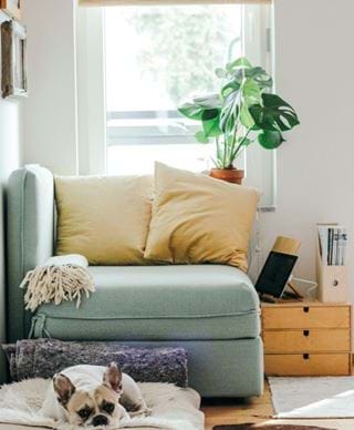 cosy homes